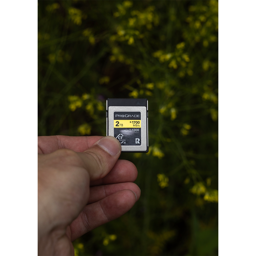 ProGrade Digital CFexpress 2.0 Type B 2TB Gold Memory Card
