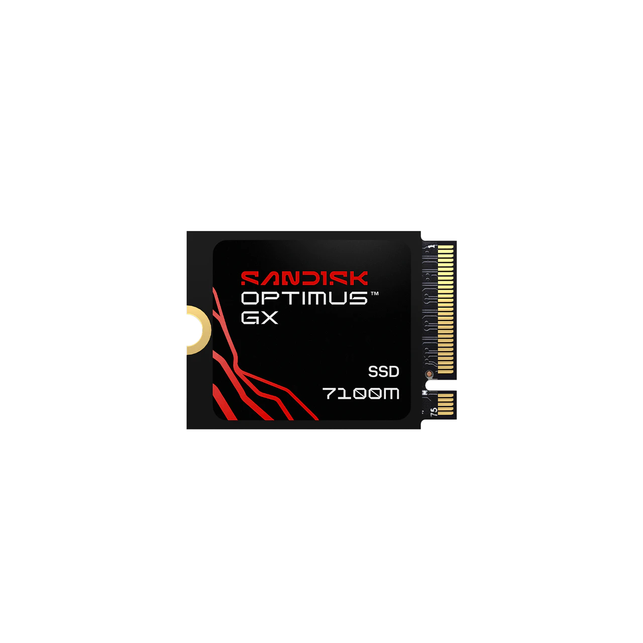 A Sandisk Optimus GX SSD 7100M on a solid white background, showing its black label with red and white text and a gold-plated connector on the right.