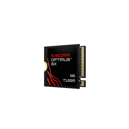 SANDISK Optimus GX 7100M NVMe SSD
