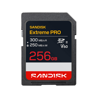 SanDisk Extreme Pro 256GB SD card on a white background