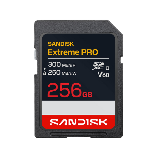 SanDisk Extreme Pro 256GB SD card on a white background