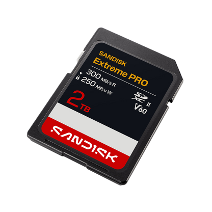 A Sandisk Extreme PRO 2TB SD card shown at an angle on a plain white background.