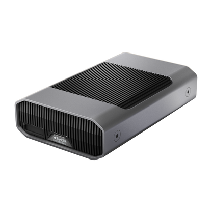 SanDisk Professional G-DRIVE PROJECT 24TB