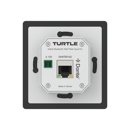 Turtle Dante Bluetooth Wallplate, EU Wall Box (Black) Ports Close Up