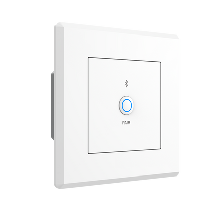 Turtle Dante Bluetooth Wallplate, EU Wall Box (White)