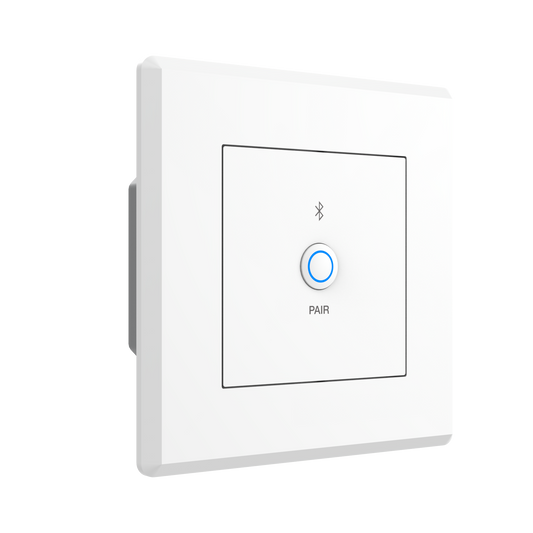 Turtle Dante Bluetooth Wallplate, EU Wall Box (White)