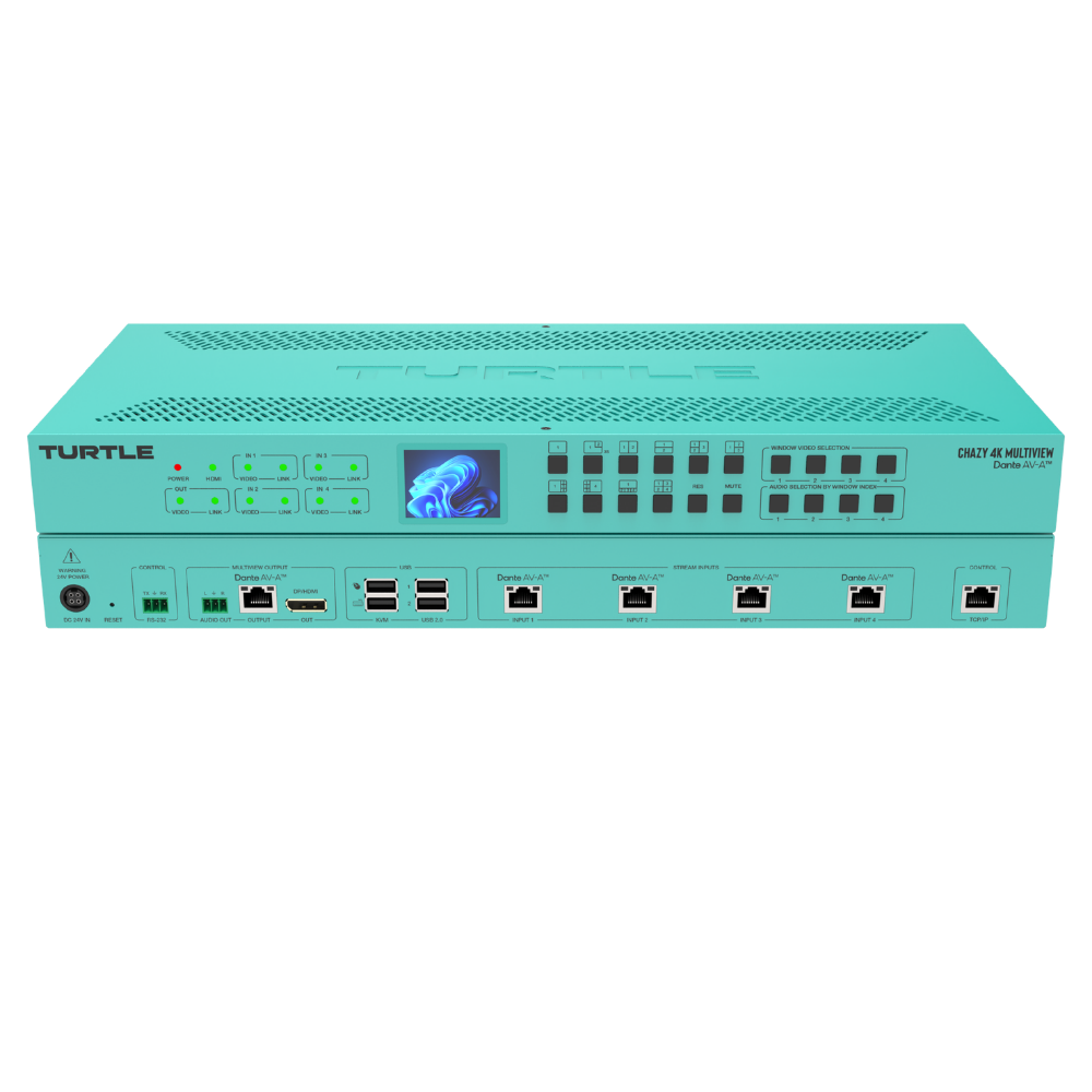 Turtle Chazy 4K Multiview