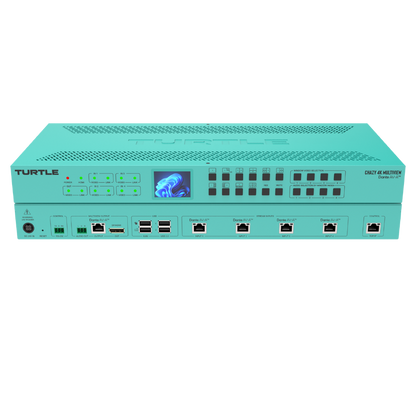 Turtle Chazy 4K Multiview