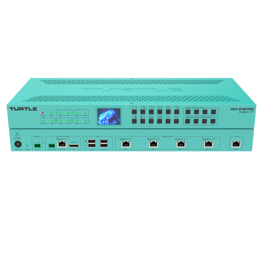 Turtle Chazy 4K Multiview