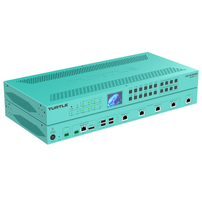 Turtle Chazy 4K Multiview Side