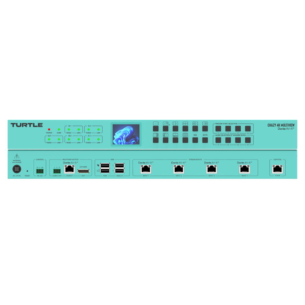 Turtle Chazy 4K Multiview Front