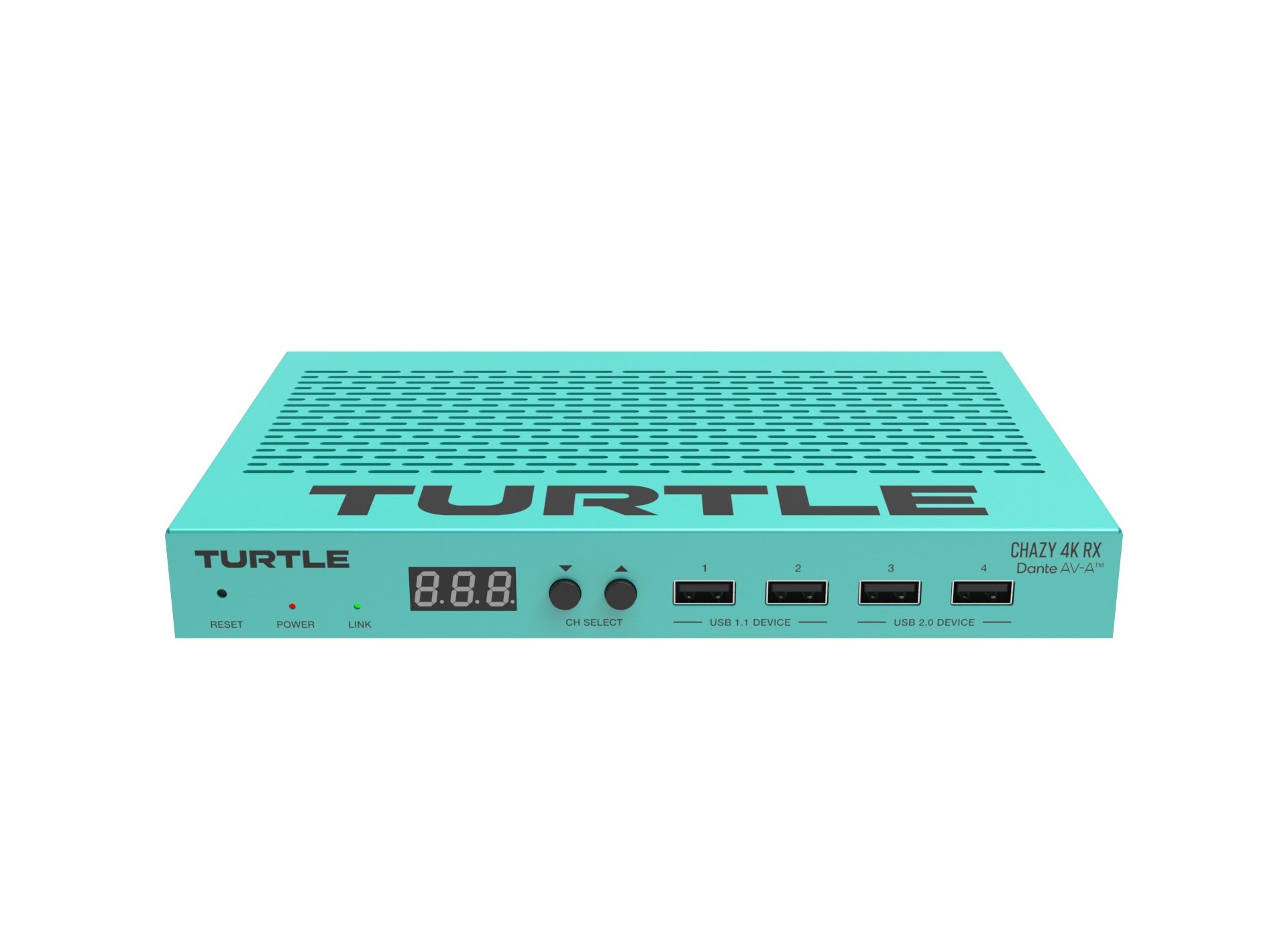 Turtle CHAZY 4K RX