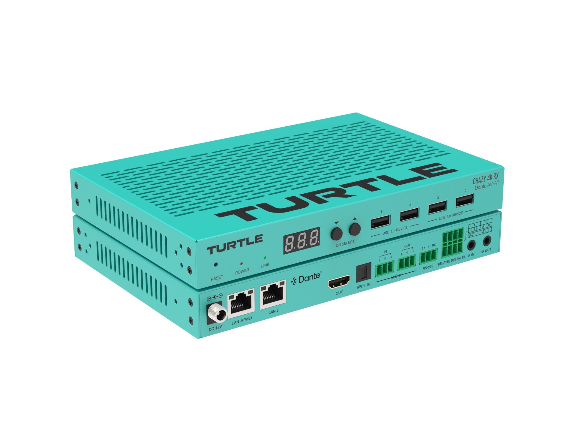 Turtle CHAZY 4K RX