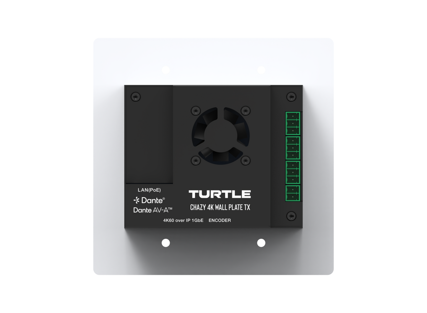 Turtle CHAZY 4K Wall Plate Tx