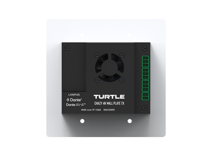 Turtle CHAZY 4K Wall Plate Tx