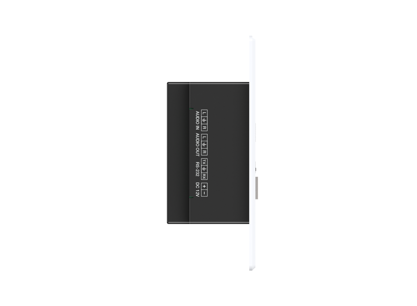 Turtle CHAZY 4K Wall Plate Tx