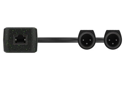 Turtle Dante Dual Channel Dante to Analog XLR Adapter