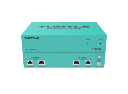 Turtle Dante Domain Bridge