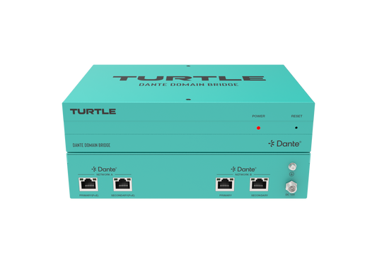 Turtle Dante Domain Bridge