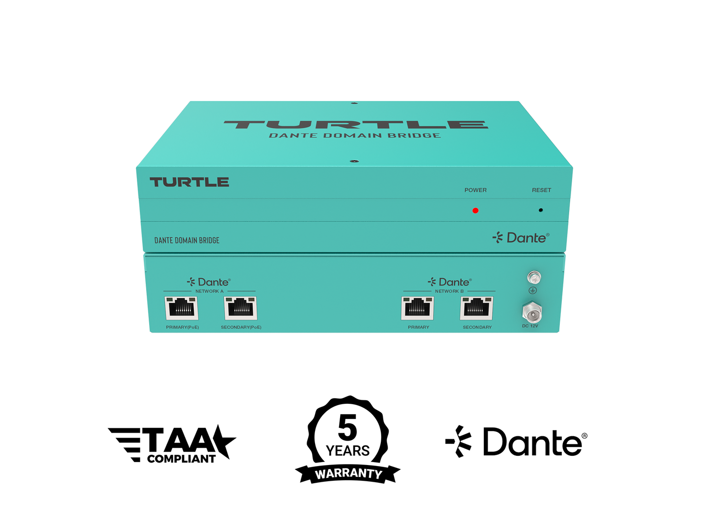 Turtle Dante Domain Bridge