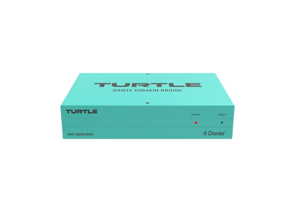 Turtle Dante Domain Bridge