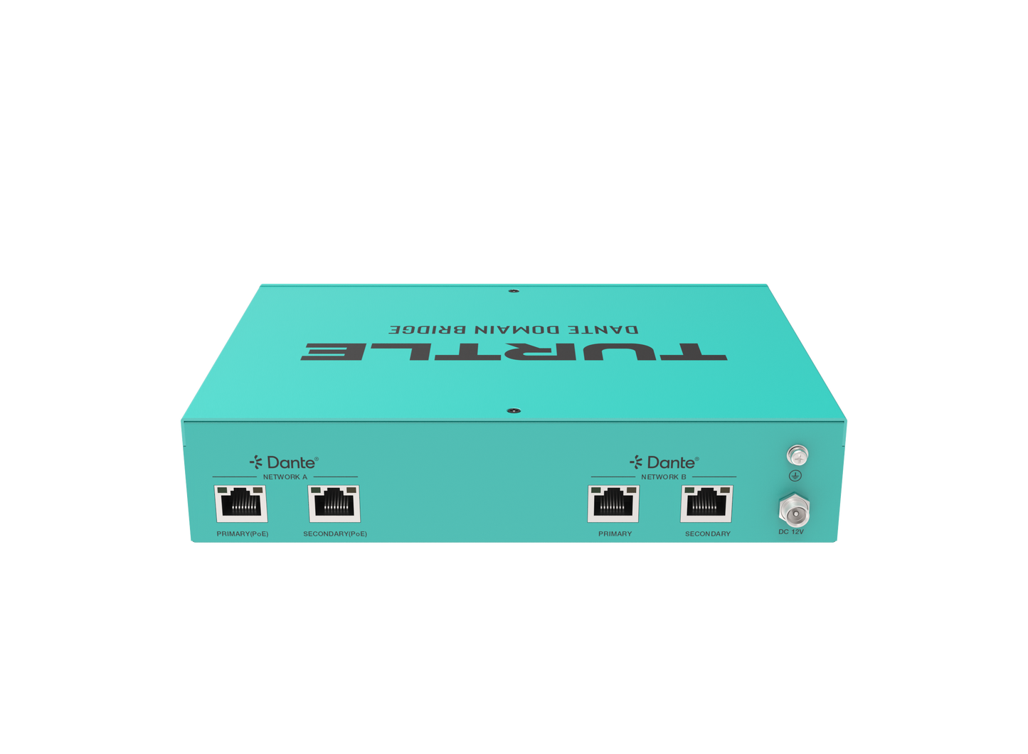 Turtle Dante Domain Bridge