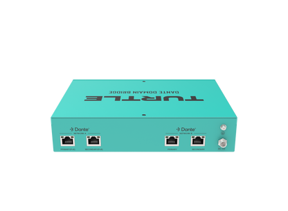 Turtle Dante Domain Bridge