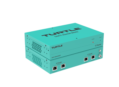 Turtle Dante Domain Bridge