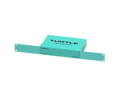 Turtle Dante Domain Bridge