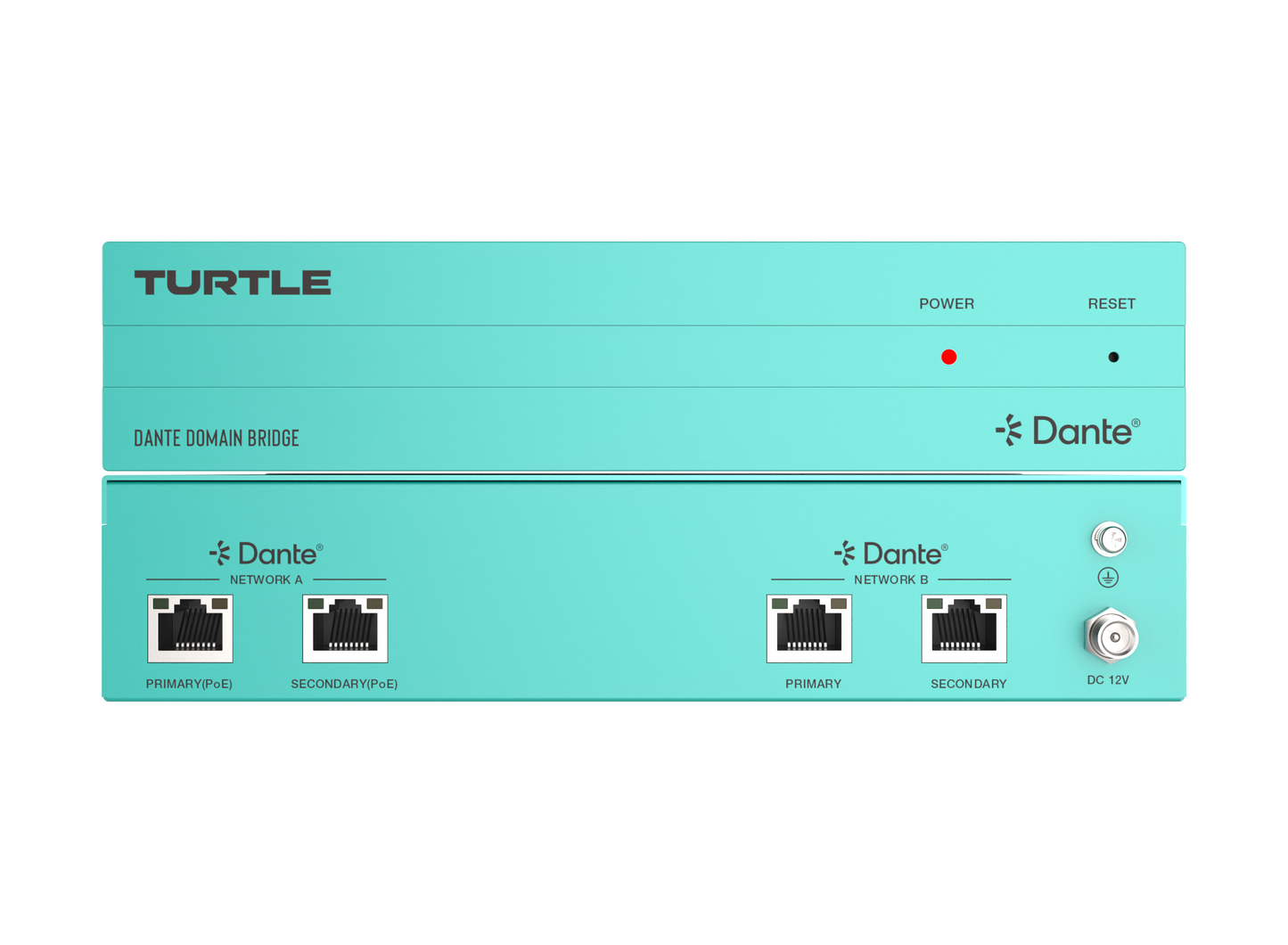 Turtle Dante Domain Bridge