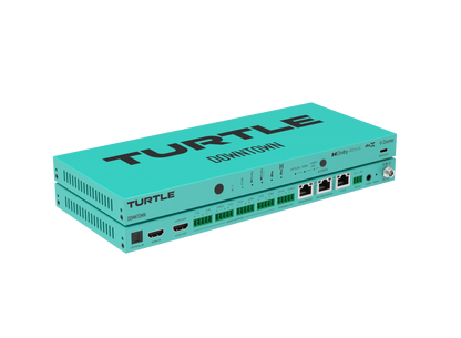 Turtle AV DOWNTOWN Side Angle