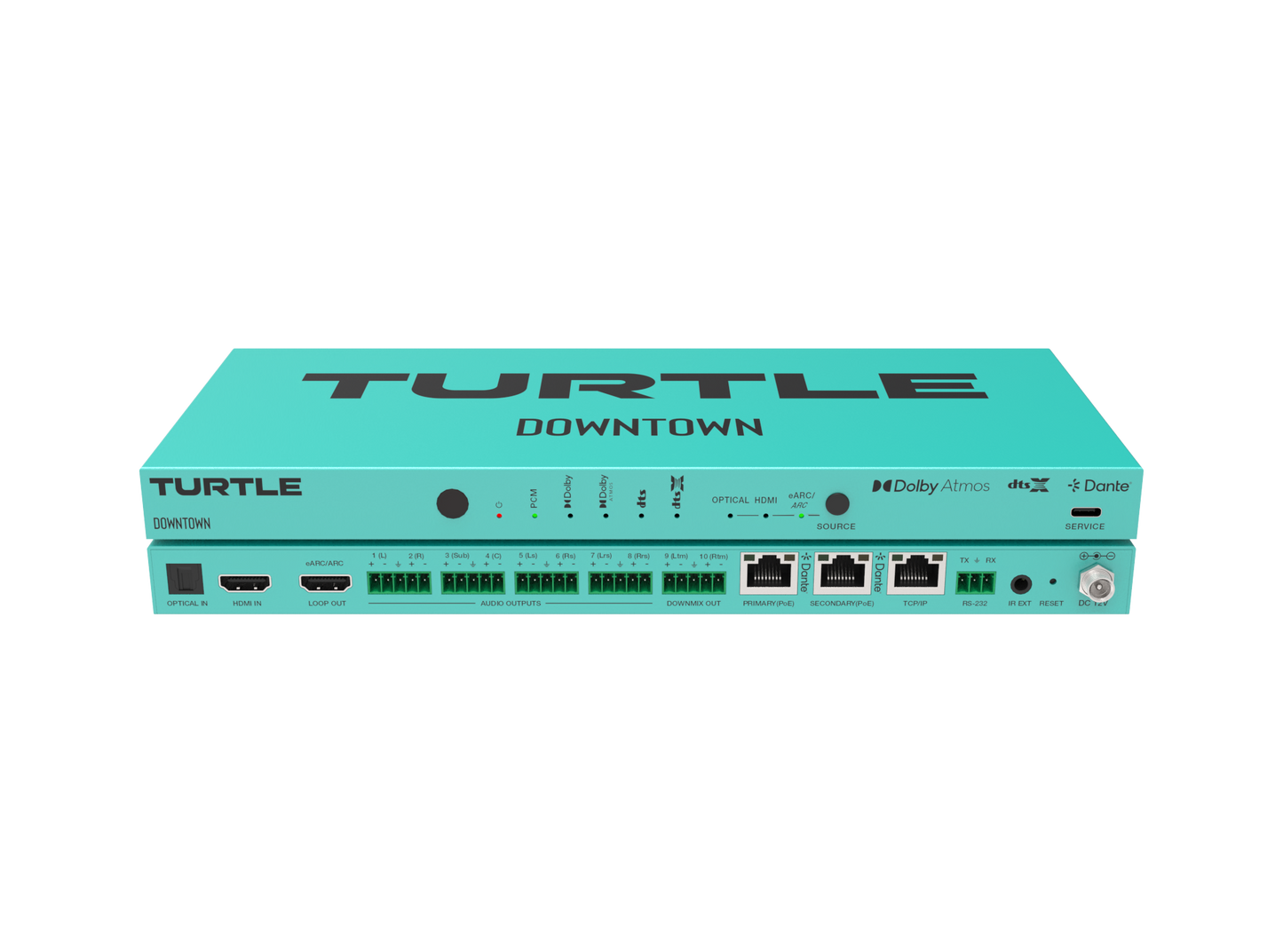 Turtle AV DOWNTOWN Ports