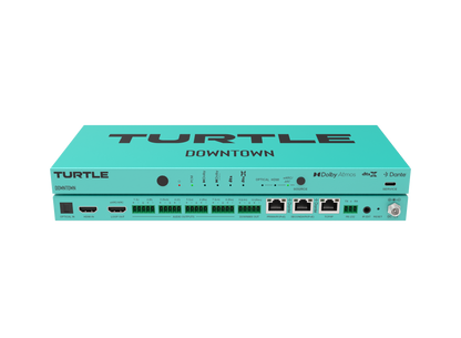 Turtle AV DOWNTOWN Ports
