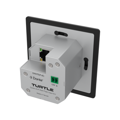 Turtle Dante wall plate input device on a white background