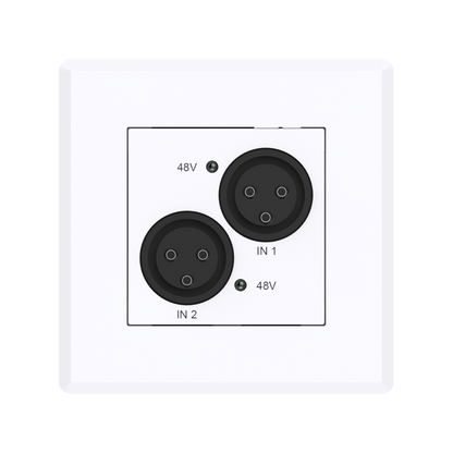 Turtle Dual Analog XLR Input to Dante Wallplate EU Wall Box Front