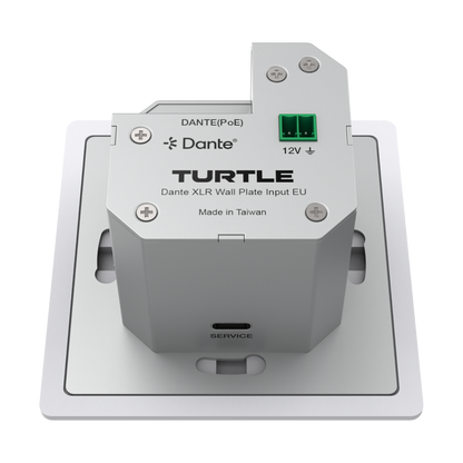 Turtle Dante XLR wall plate input on a white background