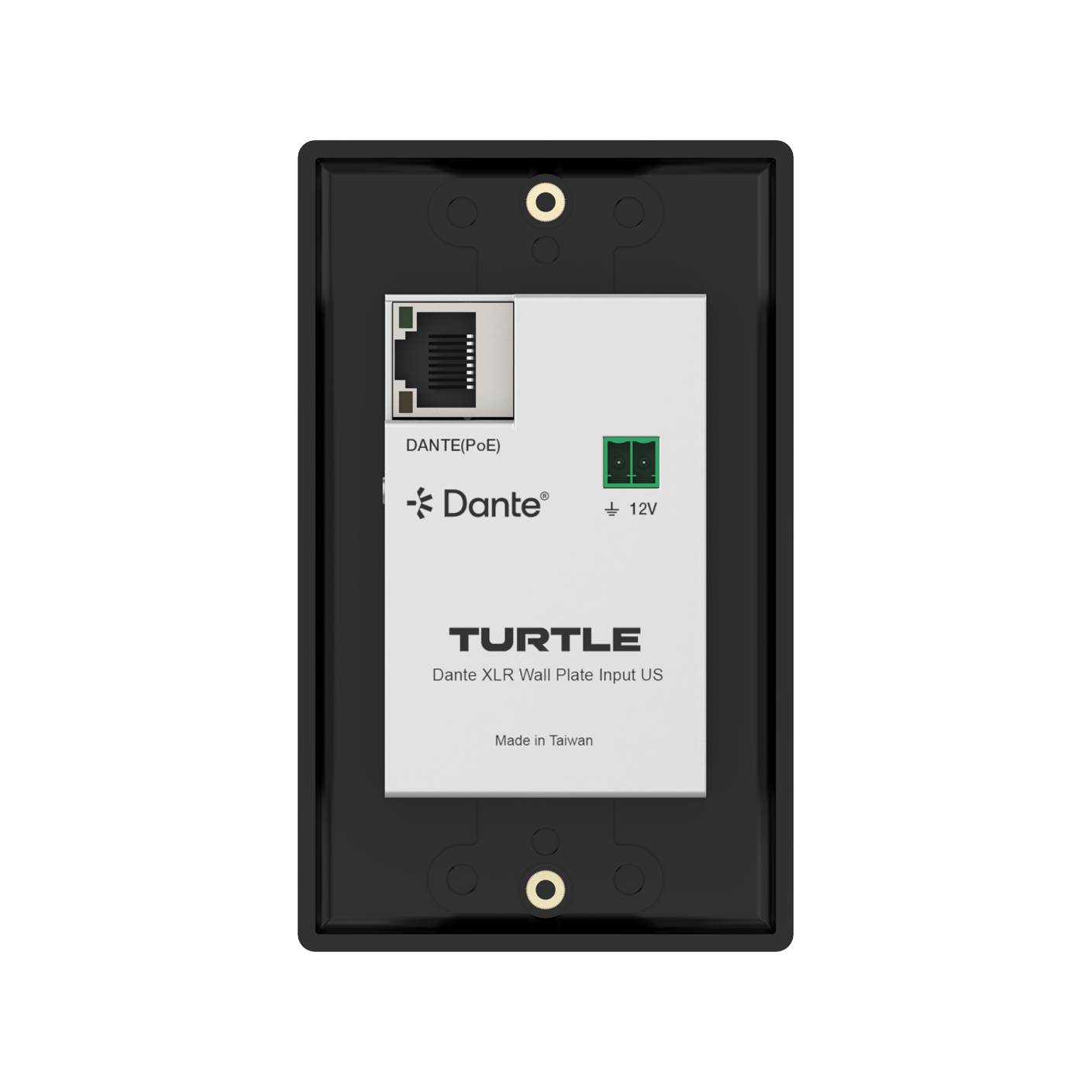 Turtle Dante XLR wall plate input on a white background