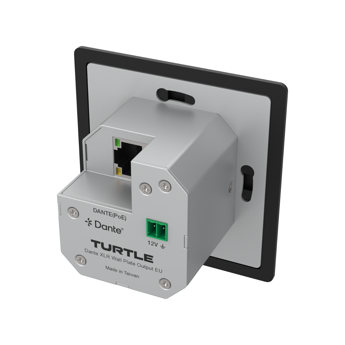 Turtle Dante wall plate input device on a white background
