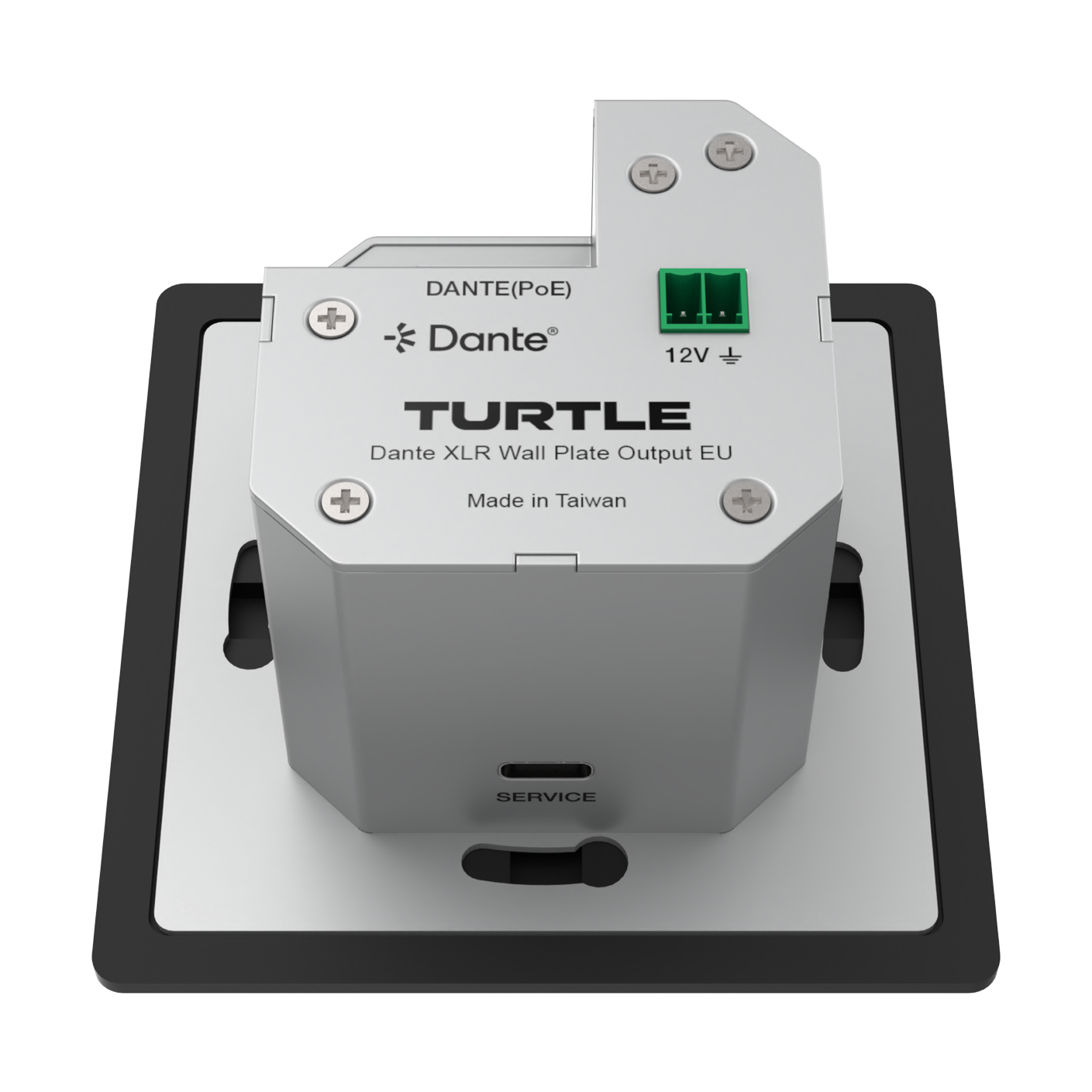 Turtle Dante XLR wall plate output on a white background