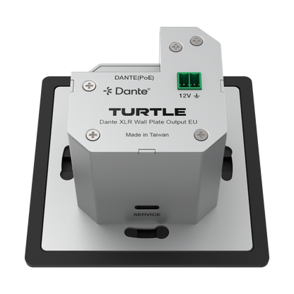 Turtle Dante XLR wall plate output on a white background