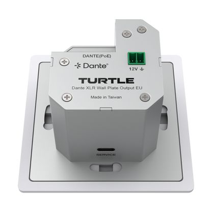 Turtle Dante XLR wall plate output on a white background