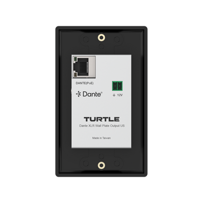 Turtle Dante XLR wall plate output on a white background
