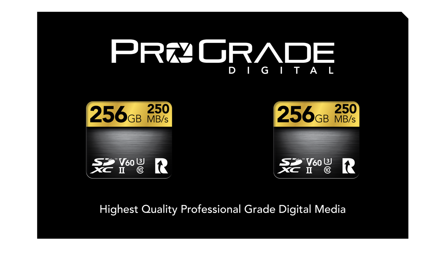 ProGrade Digital SDXC UHS-II V60 Memory Card (256GB), 2-Pack