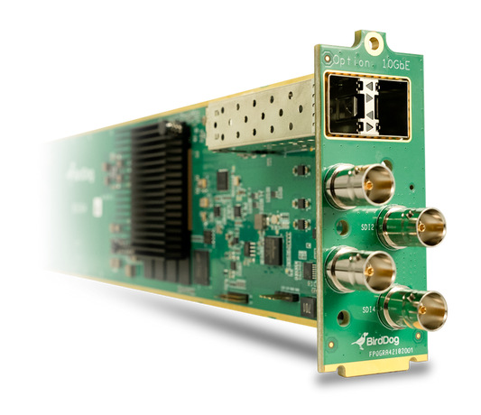 BirdDog OG4 channel 4Kp60 NDI encoder/decoder openGear card with SFP+