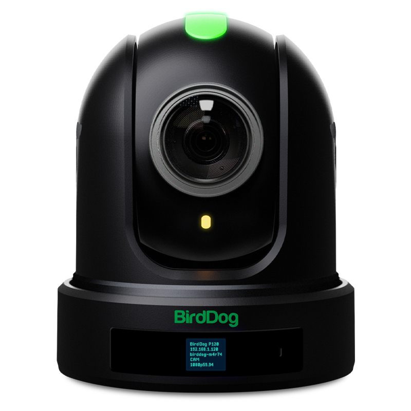 BirdDog P110 10x Full NDI PTZ Camera (Black) - Videoguys
