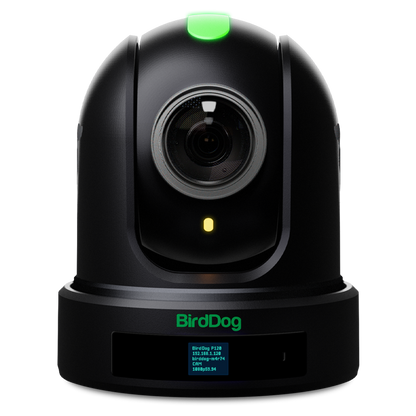 BirdDog P110 10x Full NDI PTZ Camera (Black)