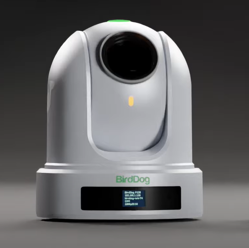 BirdDog P120 20x Full NDI PTZ Camera (White)