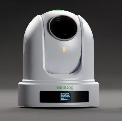 BirdDog P120 20x Full NDI PTZ Camera (White)