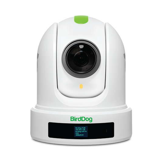 BirdDog P110 10x Full NDI PTZ Camera (White)