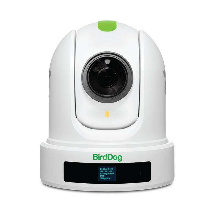 BirdDog P110 10x Full NDI PTZ Camera (White)